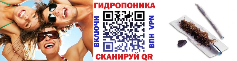 Шишки марихуана OG Kush  что такое   Грозный 